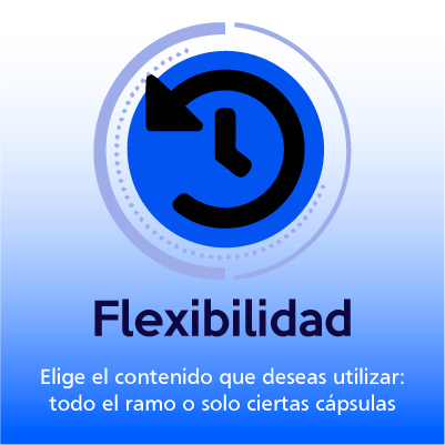 Flexbilidad